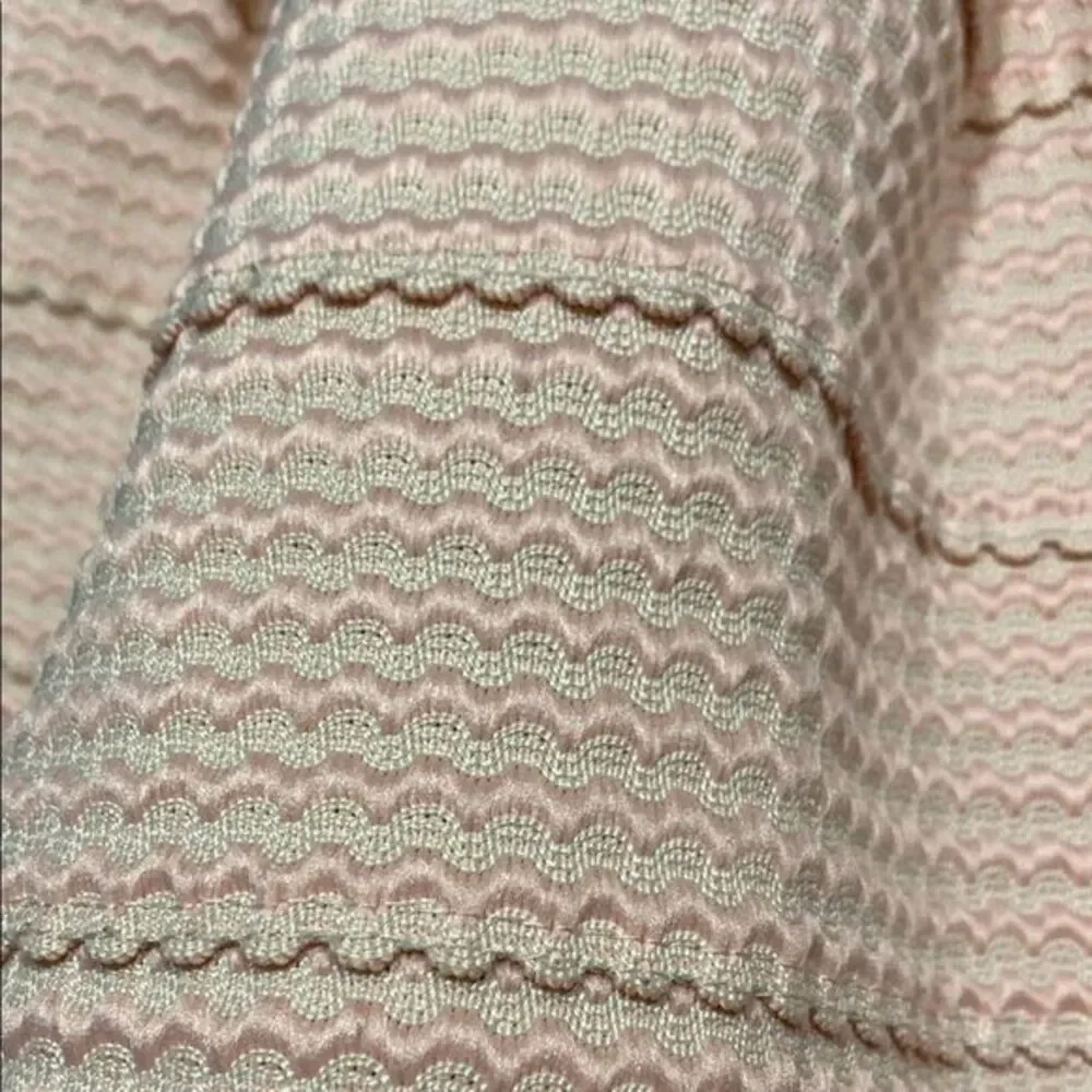 Petit Gateau Pink Cupcake Pleated‎ A-Line Mini Skirt Size XL - Picture 9 of 12